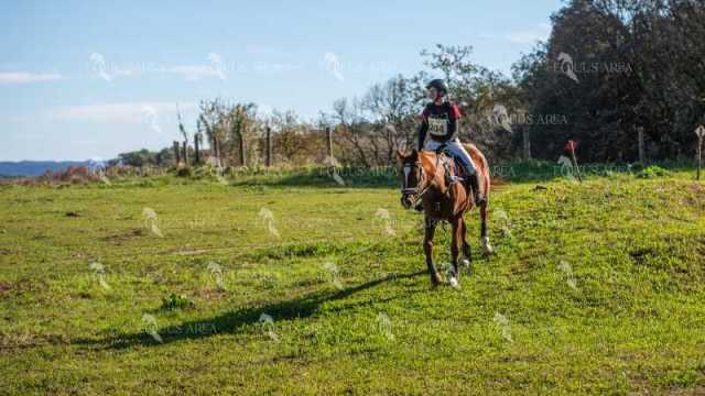 TREC02-06082024-515