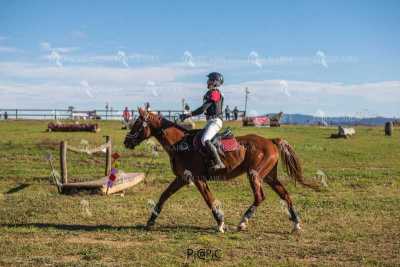 TREC02-06082024-516