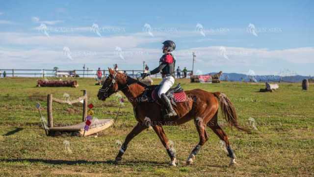 TREC02-06082024-516