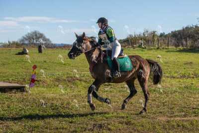 TREC02-06082024-517