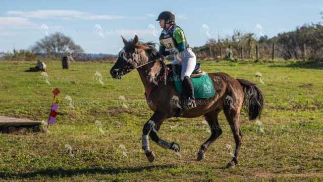 TREC02-06082024-517