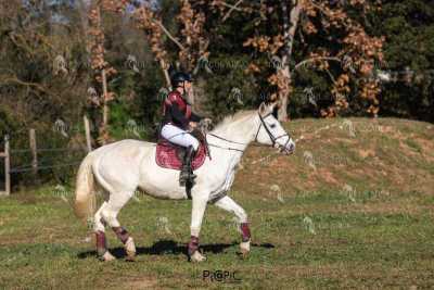 TREC02-06082024-518