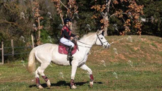 TREC02-06082024-518