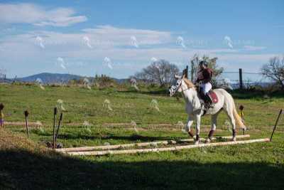 TREC02-06082024-519