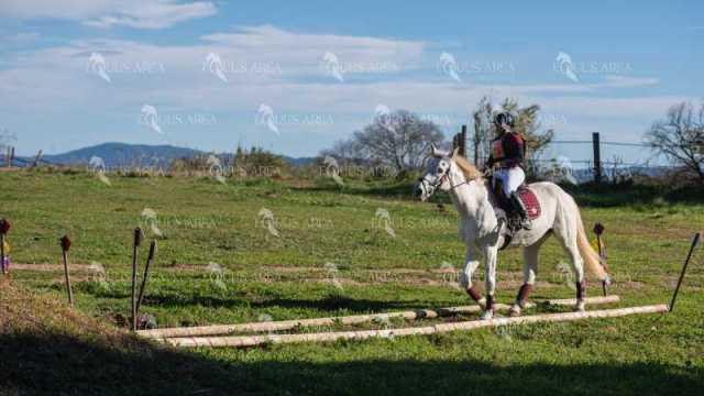 TREC02-06082024-519