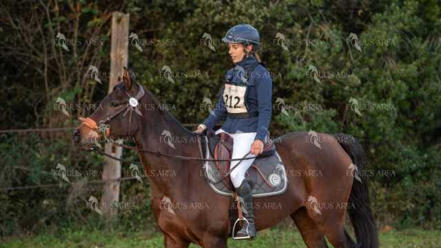 TREC02-06082024-52