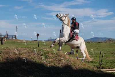 TREC02-06082024-520