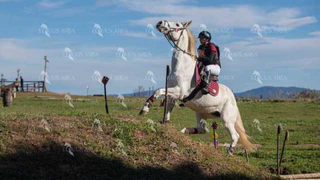 TREC02-06082024-520