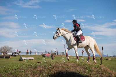 TREC02-06082024-521