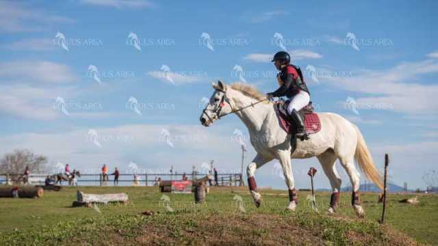 TREC02-06082024-521