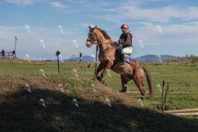 TREC02-06082024-522