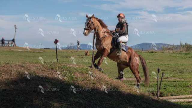 TREC02-06082024-522