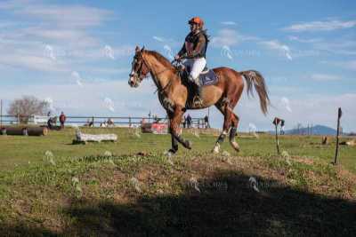 TREC02-06082024-523