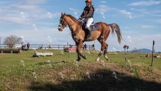 TREC02-06082024-523