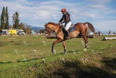TREC02-06082024-524