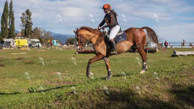 TREC02-06082024-524