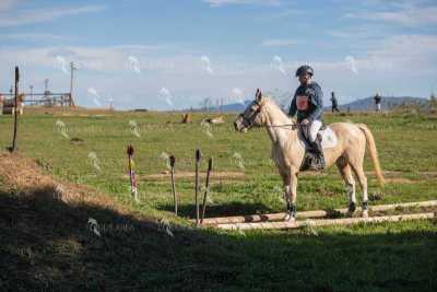 TREC02-06082024-525