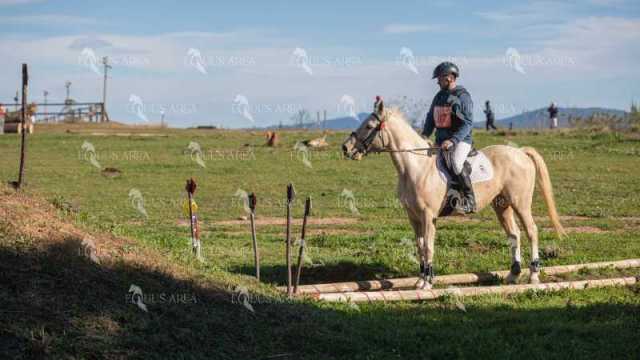 TREC02-06082024-525