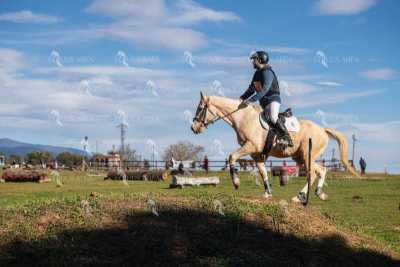 TREC02-06082024-526