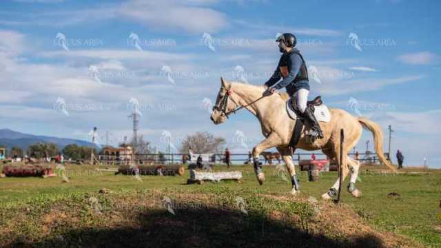 TREC02-06082024-526