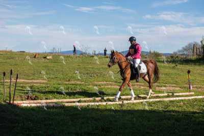 TREC02-06082024-527