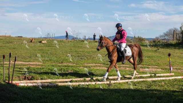 TREC02-06082024-527