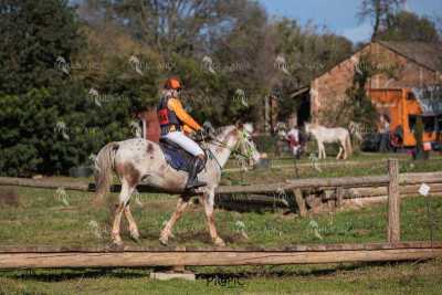 TREC02-06082024-528
