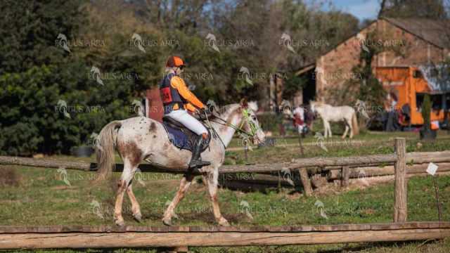 TREC02-06082024-528