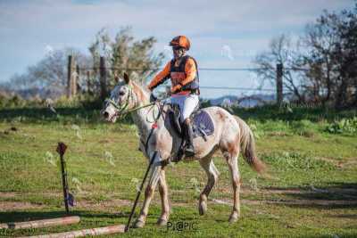 TREC02-06082024-529