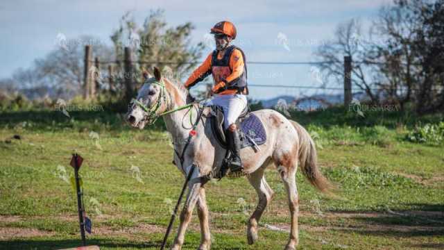 TREC02-06082024-529