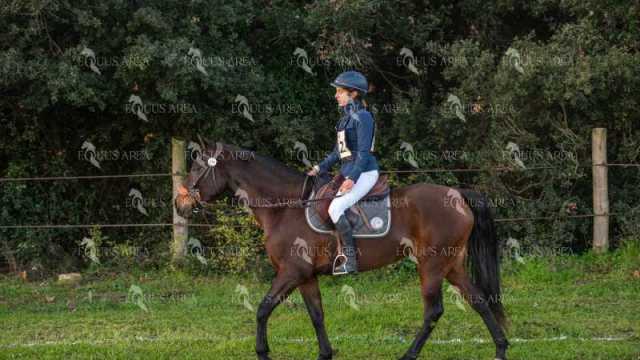 TREC02-06082024-53