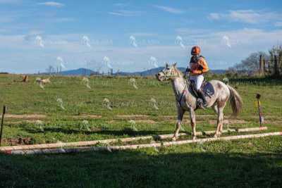 TREC02-06082024-530