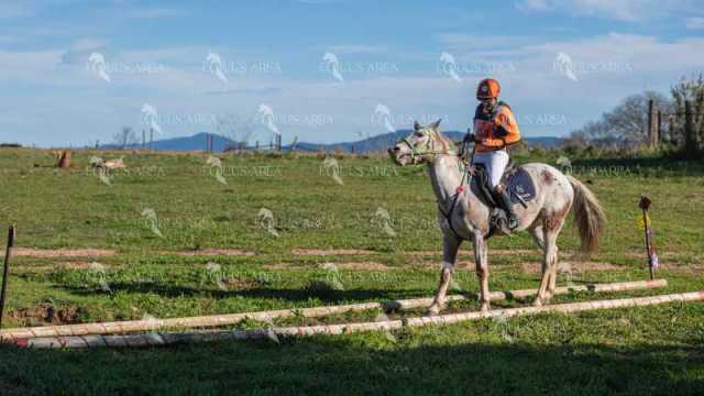 TREC02-06082024-530