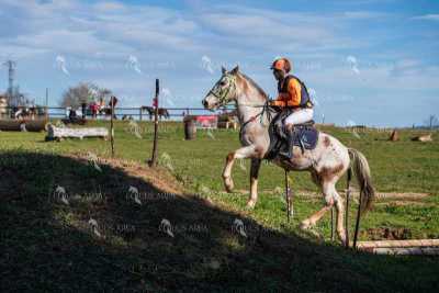 TREC02-06082024-531