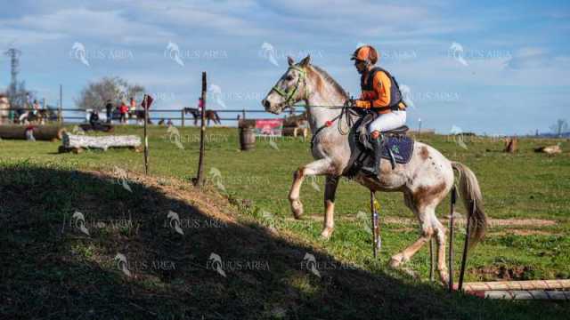 TREC02-06082024-531