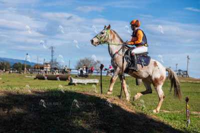 TREC02-06082024-532