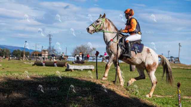TREC02-06082024-532