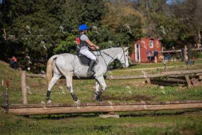 TREC02-06082024-533