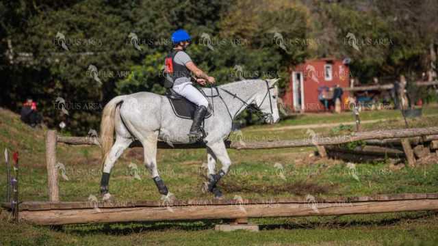 TREC02-06082024-533