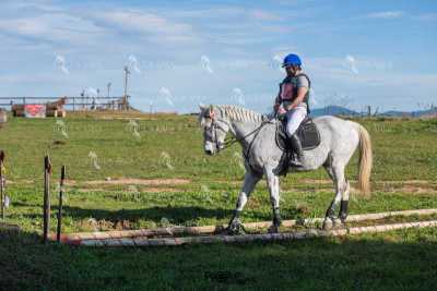 TREC02-06082024-534