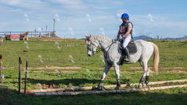 TREC02-06082024-534