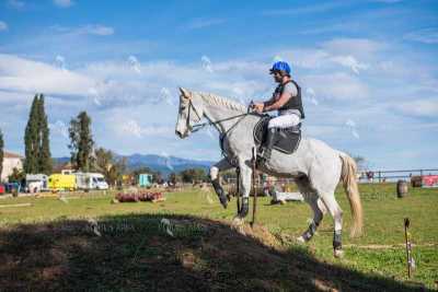 TREC02-06082024-535
