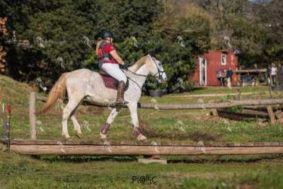 TREC02-06082024-536