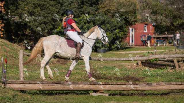 TREC02-06082024-536