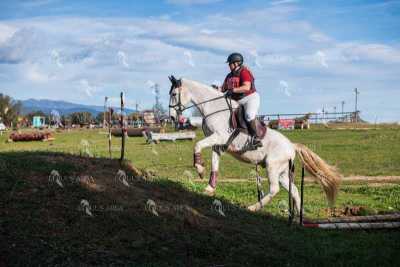 TREC02-06082024-537