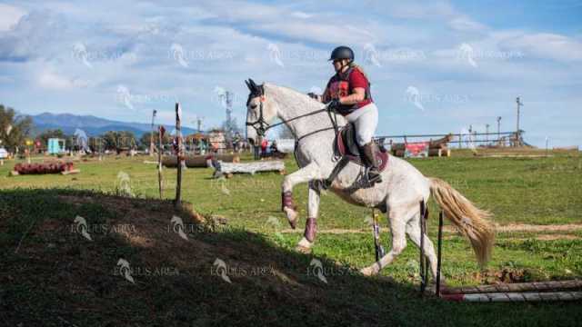 TREC02-06082024-537