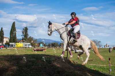 TREC02-06082024-538