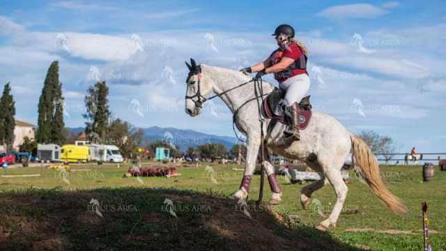 TREC02-06082024-538