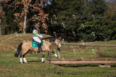 TREC02-06082024-539