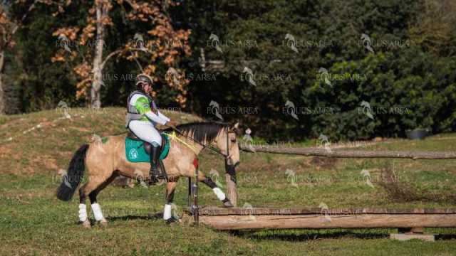 TREC02-06082024-539